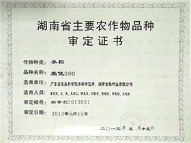 湖南省主要農(nóng)作物品種審定證書