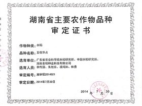 五優(yōu)華占審定證書