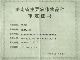 泰優(yōu)390審定證書