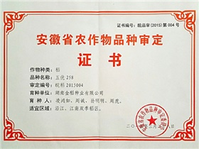 五優(yōu)258審定證書正本