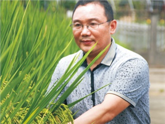 凌鴻如（高級農(nóng)藝師）