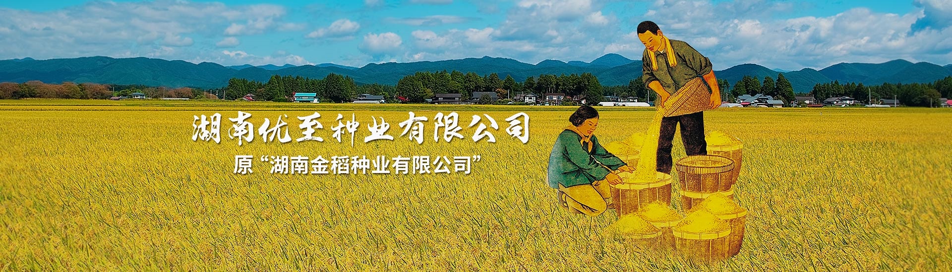 原“湖南金稻種業(yè)有限公司”更名為“湖南優(yōu)至種業(yè)有限公司”